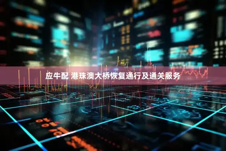 应牛配 港珠澳大桥恢复通行及通关服务