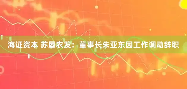 海证资本 苏垦农发：董事长朱亚东因工作调动辞职