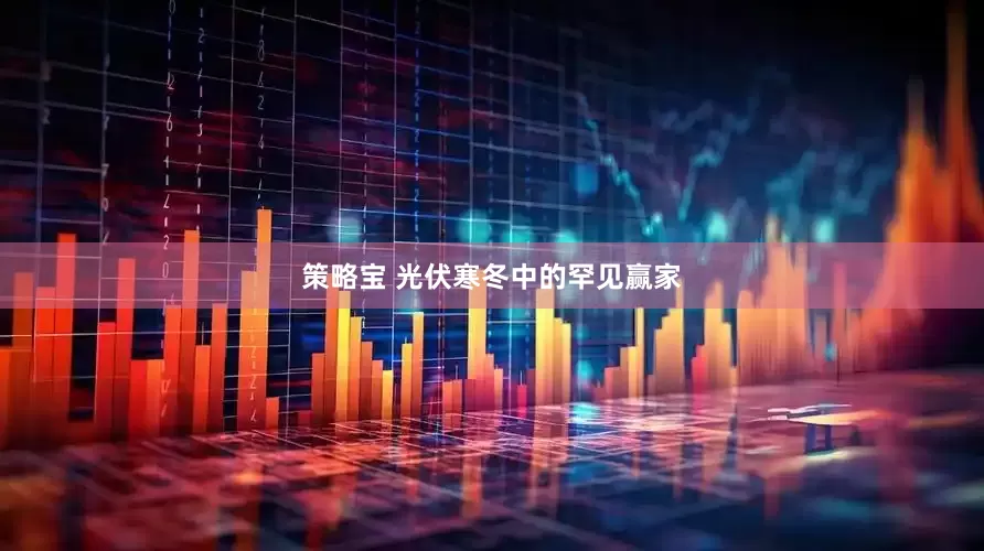策略宝 光伏寒冬中的罕见赢家