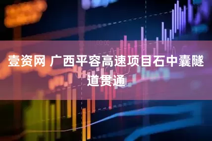 壹资网 广西平容高速项目石中囊隧道贯通