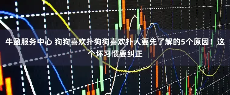 牛盈服务中心 狗狗喜欢扑狗狗喜欢扑人要先了解的5个原因！这个坏习惯要纠正