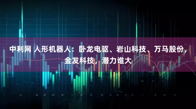 中利网 人形机器人：卧龙电驱、岩山科技、万马股份，金发科技，潜力谁大