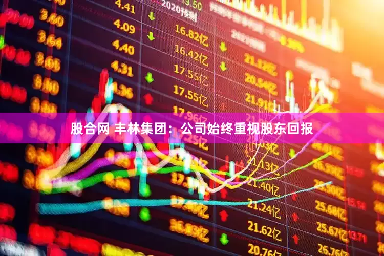 股合网 丰林集团：公司始终重视股东回报